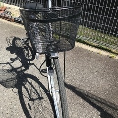 自転車　白