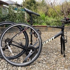 GIANT ESCAPE RX 3