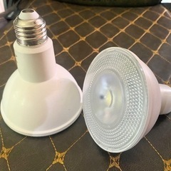 【2個セット】アクアリウム 水草育成  RioCOB LED ク...