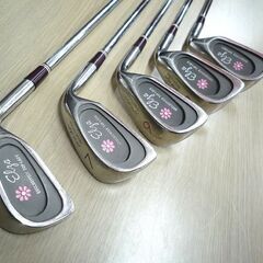 ゴルフ レディース アイアンセット 5本セット Pro dyn elza スチールシャフト 中古 苫小牧西店の画像
