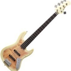 【値下げしました】新品　bacchus 5弦ベース　【郵送対応可...