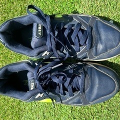 【メンズスニーカー】NIKE AIR MAXの画像