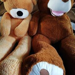 特大 くまのぬいぐるみ  2M以上  特注  ２つセット の画像