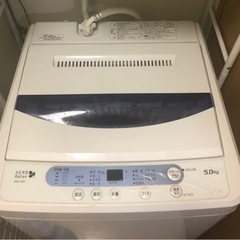 ヤマダ電機オリジナル　全自動電気洗濯機　(5.0kg) Herb...