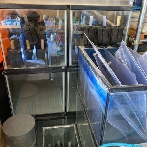 中古水槽90㎝6本　60㎝4本　スポンジフィルター等
