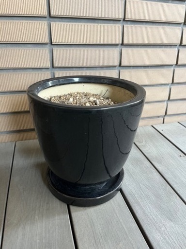 ACTUS プランターカバー 植木鉢
