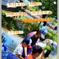 田植え体験✴︎青空ヨガ〜クリスタルボウル〜