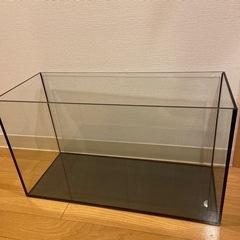 テトラ　オールガラス水槽