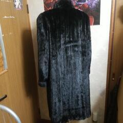 MG Sable FUR 13号の画像