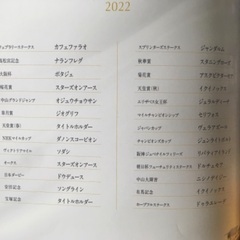 JRA 有馬記念キャンペーン A賞　 GI PHOTO BOOK 2022 の画像