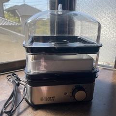 新品未使用 電気スチーマー