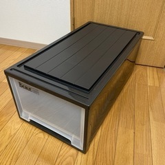衣装ケース Beaut 幅約39cm× 奥行約73cm×高さ約28.5cmの画像