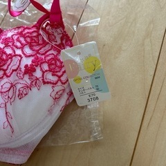 未使用品　E70 ブラジャー