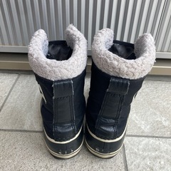 ソレル　20㎝の画像