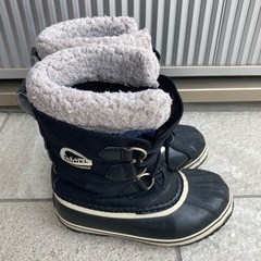 ソレル　20㎝の画像