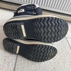 ソレル　20㎝の画像