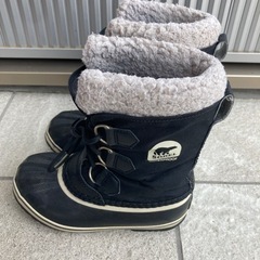 ソレル　20㎝の画像