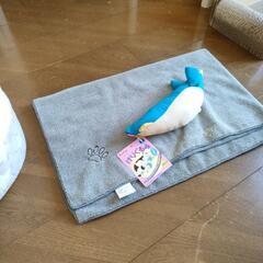 猫グッズ　いかがでしょうかの画像