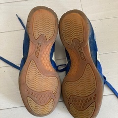 ミズノ　男の子　スニーカーの画像