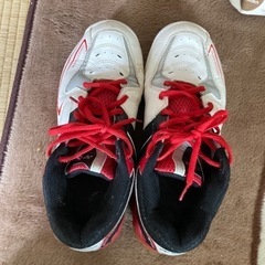 ヨネックスバドミントンテニス用シューズ