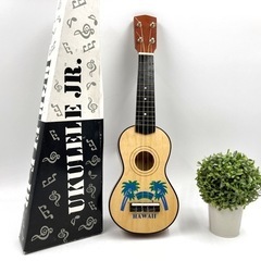 【美品・箱付き】 ウクレレ UKULELE ハワイ HAWAI 