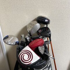 ゴルフクラブセット ドライバー3本（cobra/geekgolf/teardrop）アイアン7本（TC-777）5w1本(クリーブランド)  ユーティリティー1本（cobra）パター2本（ODYSSEY）