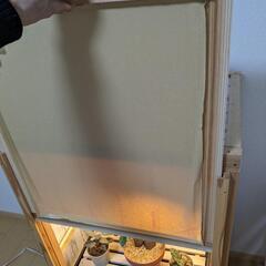 観葉植物　育成ケージ　ジュエルオーキッド　アグラオネマ　アガベ　等にの画像