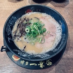 沖縄のラーメンを食べ廻りたい！ - メンバー募集