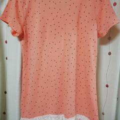 cranbrook ドット柄Tシャツ Lサイズの画像