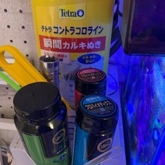 お取引中　海水魚水槽、水槽周り　海水魚　まとめて売りますの画像