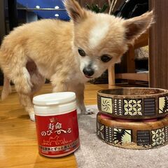 （値下げしました）ペットが元気になるサプリメントを譲ります。の画像