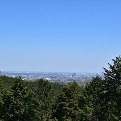 【あと１名５名決】4/16（日）南高尾・ニリンソウ群生地・草戸山 - 友達
