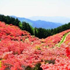 5/4-6　金剛山・大台ヶ原・大和葛城山