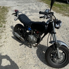 エイプ100ccタイプDの画像