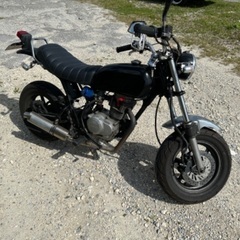 エイプ100ccタイプDの画像