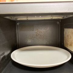アイリスオオヤマの16L　電子レンジEM06013の画像