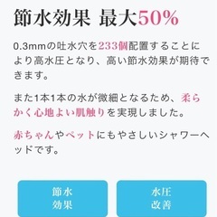 イオンシャワーヘッドの画像