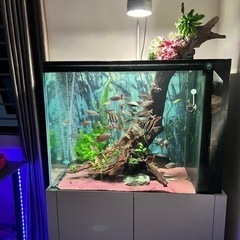 Week Aqua T90 Pro UVAライトの画像