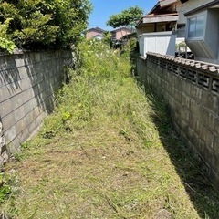出雲市や、松江市で