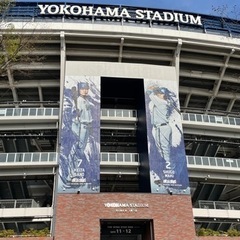 横浜DeNAベイスターズ⚾️ファン募集
