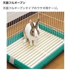ラビットケージ　小動物ペット用ケージの画像