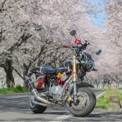 モンキー125cc 