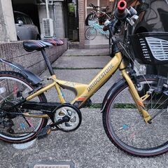 自転車　ジュニア　ブリジストン　エクスプレスジュニア　22インチ