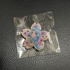 2コセット　どうする家康　岡崎市限定　桜ピンバッジの画像