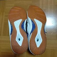西東京市内中学校　体育館用シューズ25センチの画像