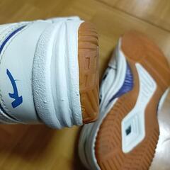 西東京市内中学校　体育館用シューズ25センチの画像