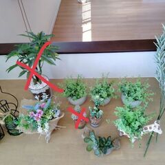 【最終】観葉植物インテリア　2個セット