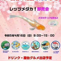 めだかイベント第３回煙樹春のめだか市場