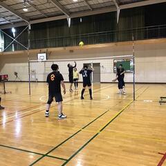 [ソフトバレーボール] 柏市 メンバー募集 ビジター募集 - スポーツ