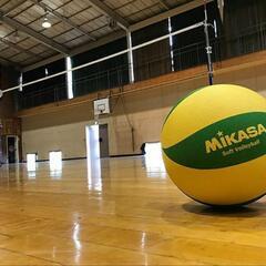 [ソフトバレーボール] 柏市 メンバー募集 ビジター募集